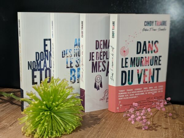 Collection romans papier : Cindy TRIAIRE - Tremplin Carrière